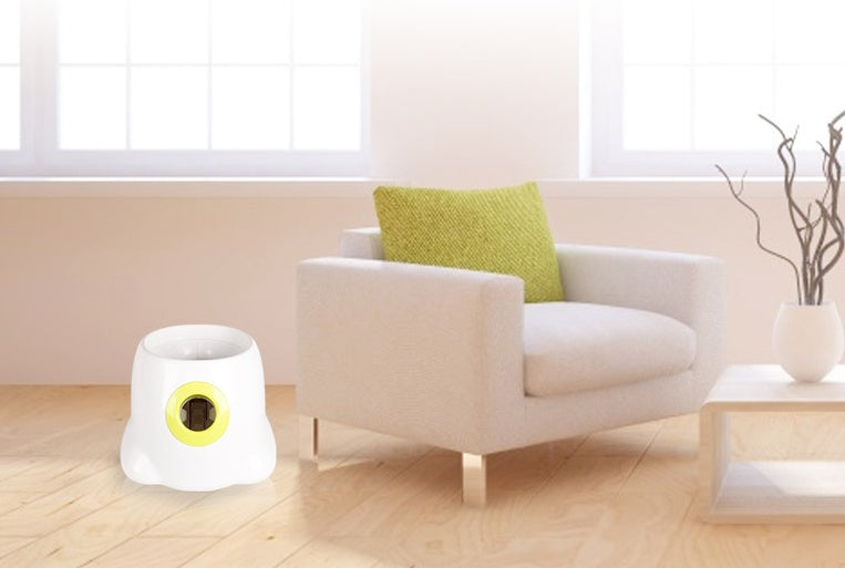 Automatischer Ballwerfer 4